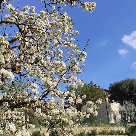 Il Pozzo Degli Angeli Cortona