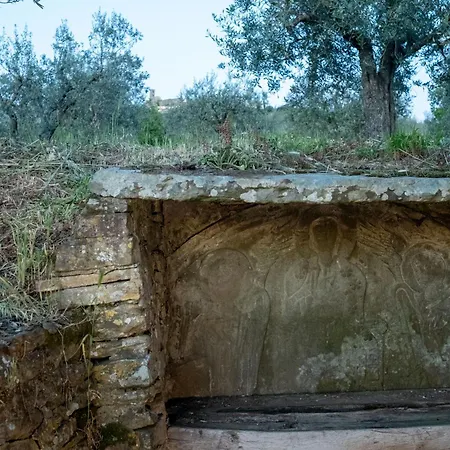 Il Pozzo Degli Angeli Casa vacanze Cortona